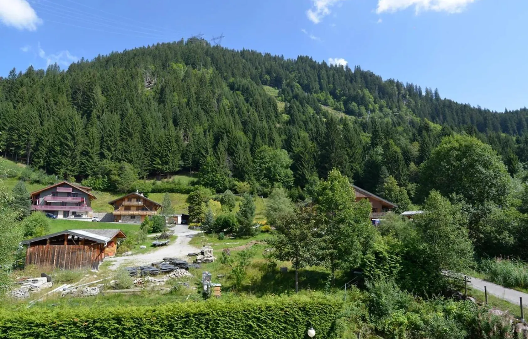 La Fleche D'Or Apartment Chatel