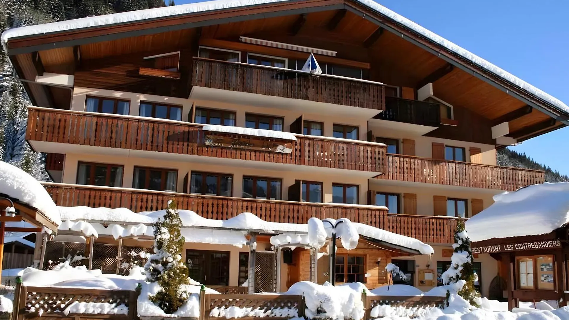 La Fleche D'Or Apartment Chatel France